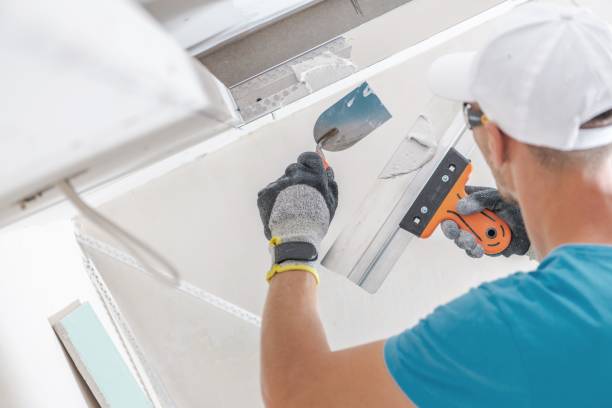 Best Mold Documentation for Insurance Claims  in Lam, AR